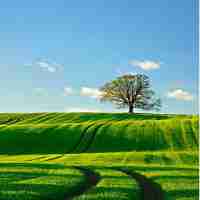 vue3.1.8.4版‌本‍更﻿新‌内‌容‍与‍优‌化﻿策​略​